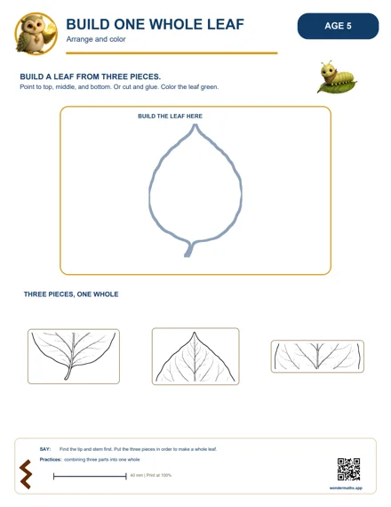 Preview of Build one whole leaf, age 5