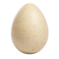 Level egg complete
